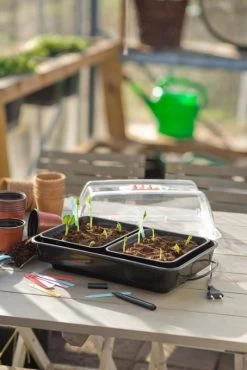Nature Kweekkas Verwarmd 38x24cm 10 Nature Kweekkas Verwarmd 38x24cm -Tuin Verkoop nature kweekkas verwarmd 38x24cm 534x800 6214a026e40ab l
