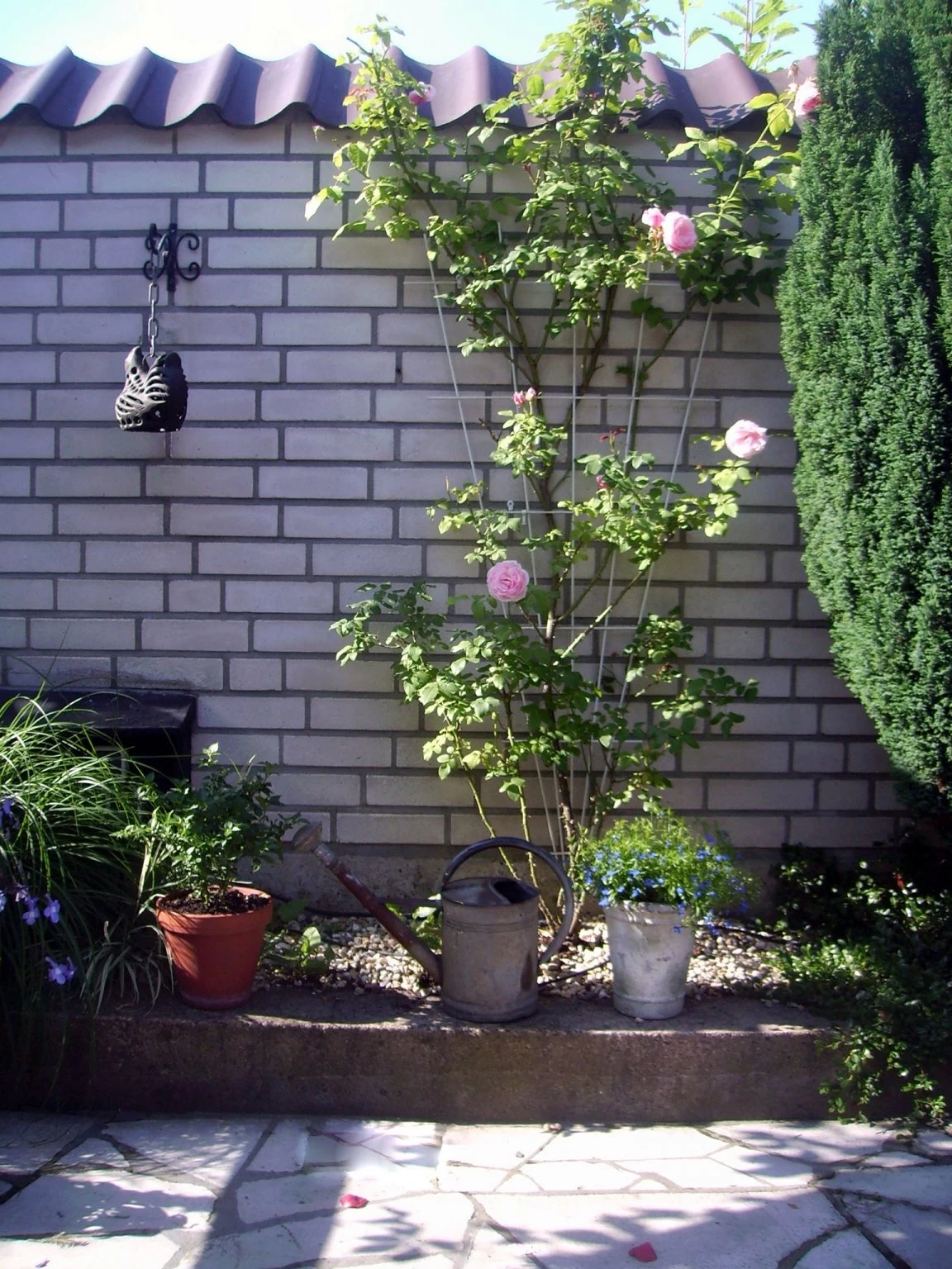 Nature Metalen Klimrek Grijs In V-vorm- H145x5/75cm 4 Nature Metalen Klimrek Grijs In V-vorm- H145x5/75cm - Afbeelding 2