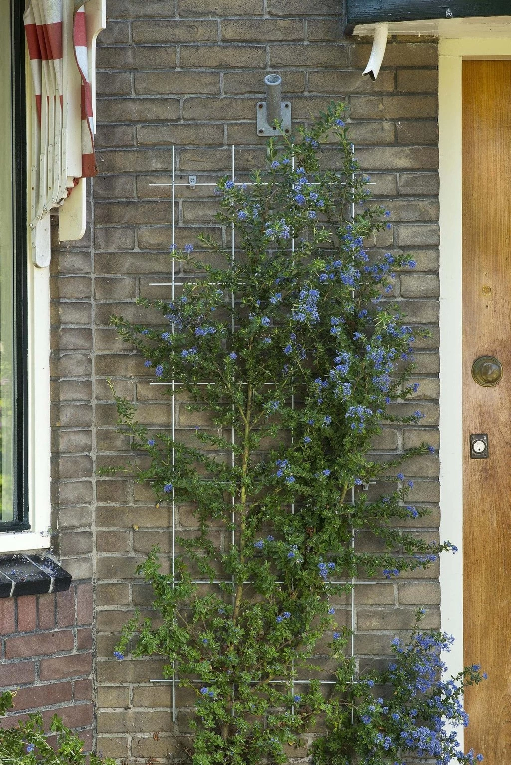 Nature Metalen Klimrek Groen - H145x72,5cm 4 Nature Metalen Klimrek Groen - H145x72,5cm - Afbeelding 2