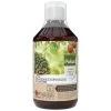 Pokon Bio Plantkuur Bladinsectgevoelige Planten Concentraat 500ml -Tuin Verkoop pokon bio plantkuur bladinsecten 500ml 1614005885 l