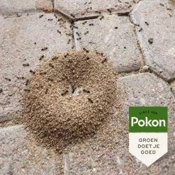 Pokon Tegen Mieren Korrels 400gr -Tuin Verkoop pokon tegen mieren korrels 400gr 1000x1000 6221fb52c5ede l