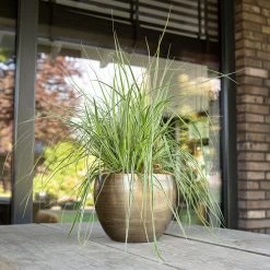 Pot Rowen Gold D22 H17 7 Pot Rowen Gold D22 H17 -Tuin Verkoop pot rowen gold d22 h17 1000x1000 6427f8000f51d l