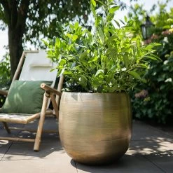 Pot Rowen Gold D38 H35 8 Pot Rowen Gold D38 H35 -Tuin Verkoop pot rowen gold d38 h35 1000x1000 6427f744443a5 l