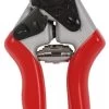 Talen Tools Professionele Snoeischaar Rood -Tuin Verkoop talen tools professionele snoeischaar rood 308x1000 61d46a4d9bf0c l